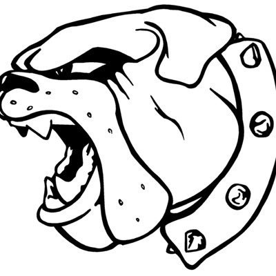 Bulldog